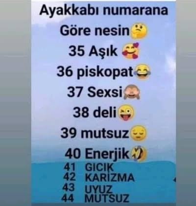 Ayakkabı numarana göre nesin?