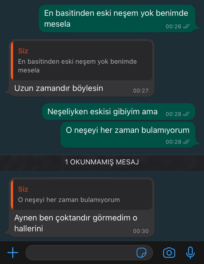 Son gelen mesajinizi yazar misiniz?