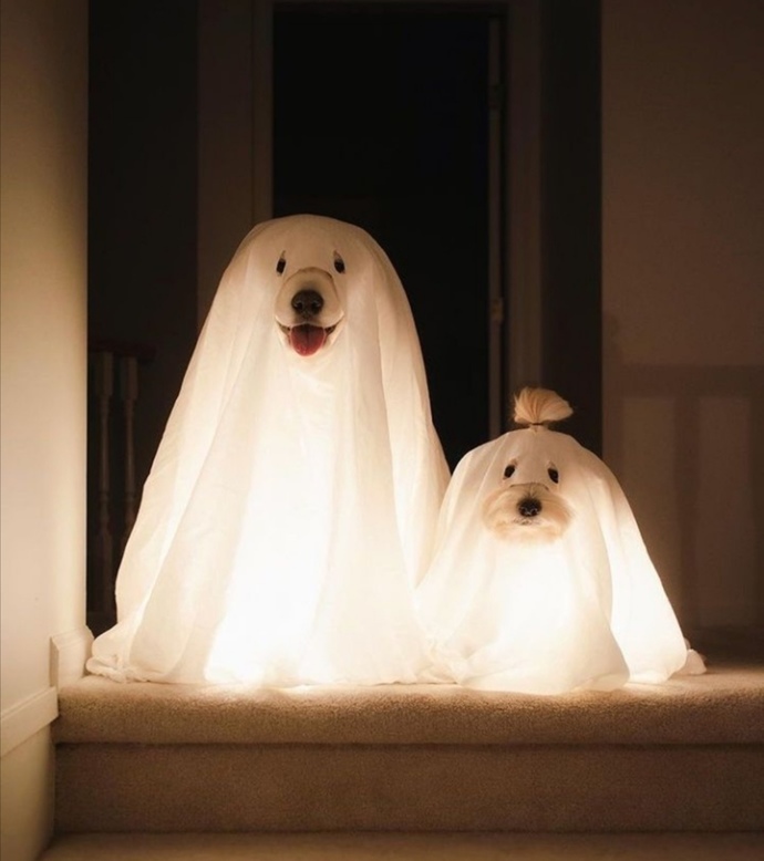 Cadılar bayramına hazırız pozu 🥰🕸️🕷️🎃👻
