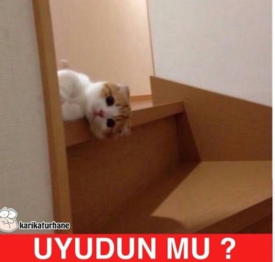 Dün görüştük bugün hiç yazmadı, neden olabilir?