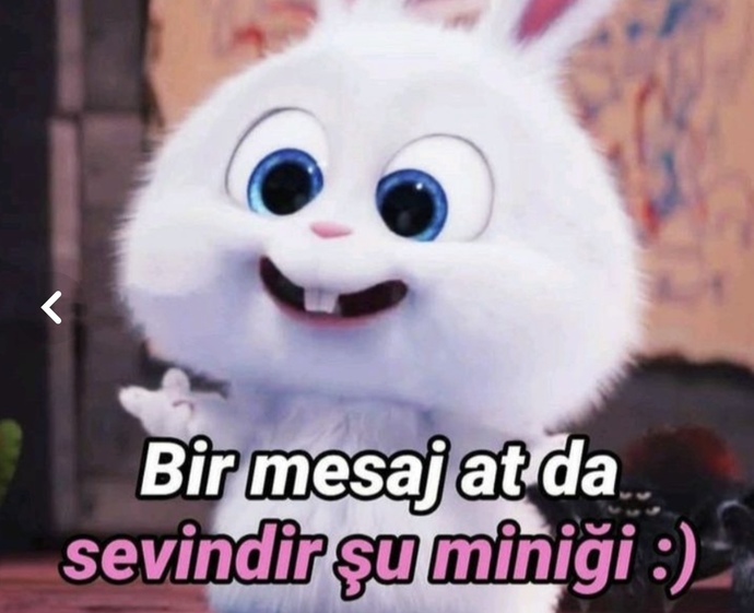 Sevgilinin vesikalık fotoğrafını cüzdanında taşır mısın?