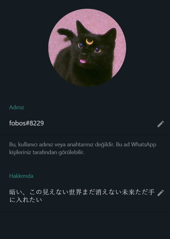 Whatsapp durumunuzda ne yazıyor ya da  hangi emoji var?