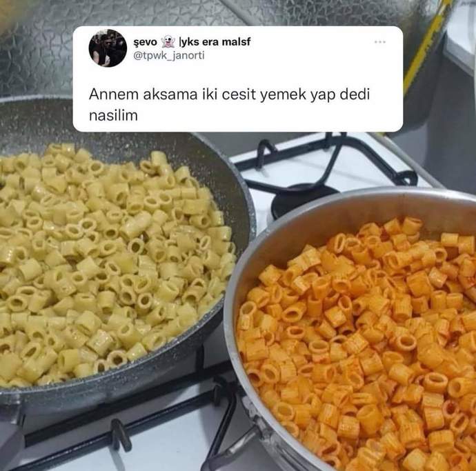 Anneniz size akşama iki çeşit yemek yap dese ne yemek yapardınız?
