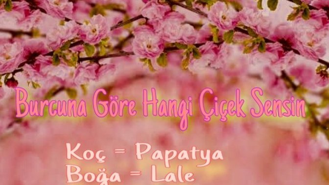 Burcunuza göre siz hangi çiçeksiniz?