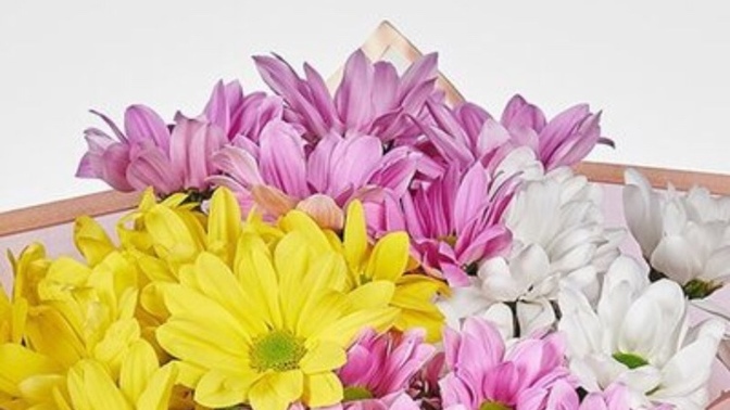 Yarın canım kız arkadaşımın doğum günü, ona bu iki çiçeği sipariş verdim, umarım mutlu olur, sizce nasıllar?