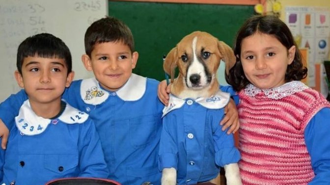 İlkokul öğrenci numaranızı hatırlar mısınız?