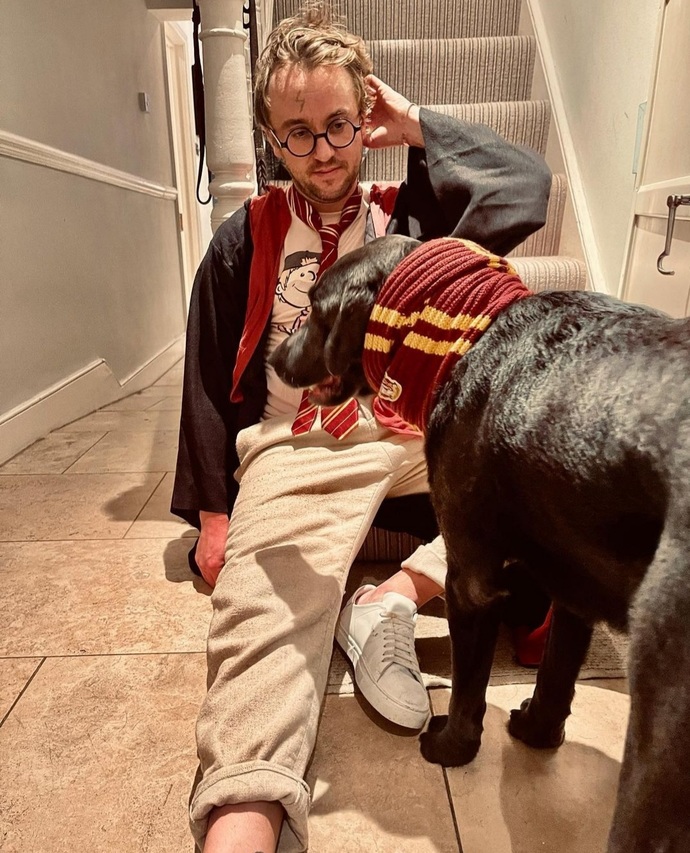 Harry Potter serisinin Draco Malfoyu, Tom Feltonun Cadılar Bayramı kostümünü nasıl buldunuz?