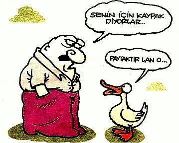 Türk kızları evlenirken sanki uzaya çıkıyormuş gibi havaya uçarken niye boşanırken ibikli ye Sel aldırıyor?
