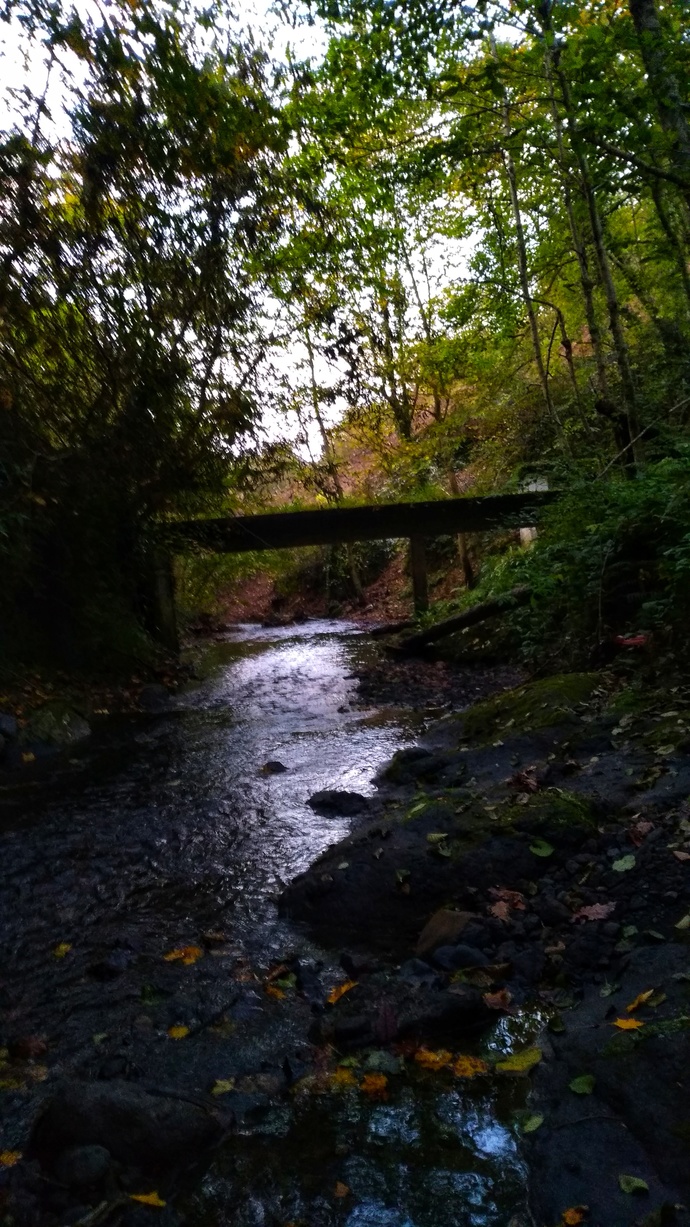 Fotoğraf çekmeyi ve çekilmeyi sever misiniz?