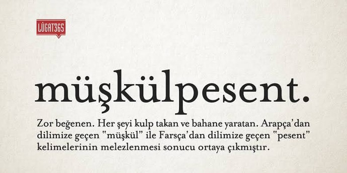 Sevgili yapmama/evlenmeme sebebiniz nedir?