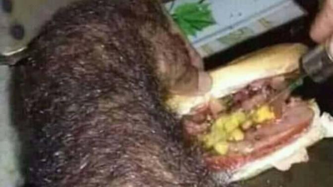 Size de bir sandviç yapayım mı?
