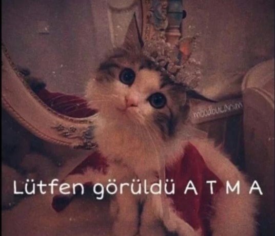 Görüldü atılmasından hoşlanıyor musunuz?