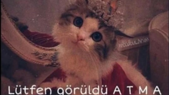 Görüldü atılmasından hoşlanıyor musunuz?