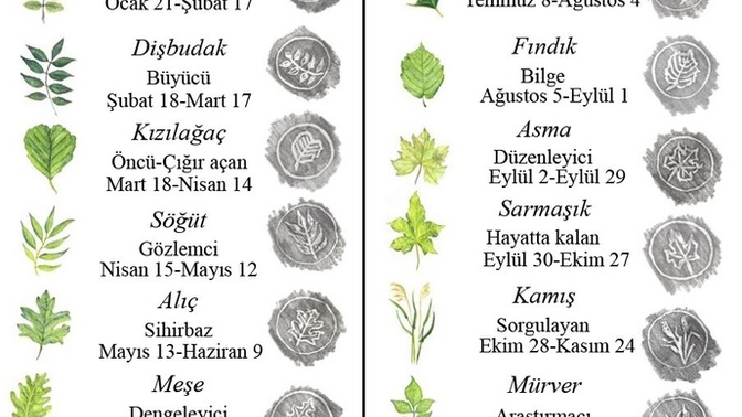 Kelt astrolojisi ağaçlar ile sembolleştirilir. Peki sizin ağacınız hangisi?