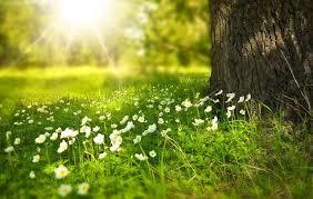 spring🍀🌿🌱