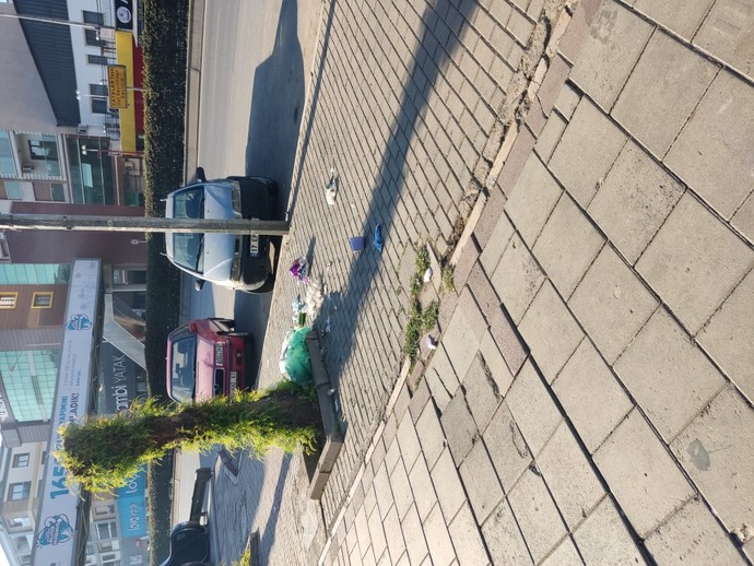 Sokak hayvanlarına mama koyuyorum ama bir problem var?