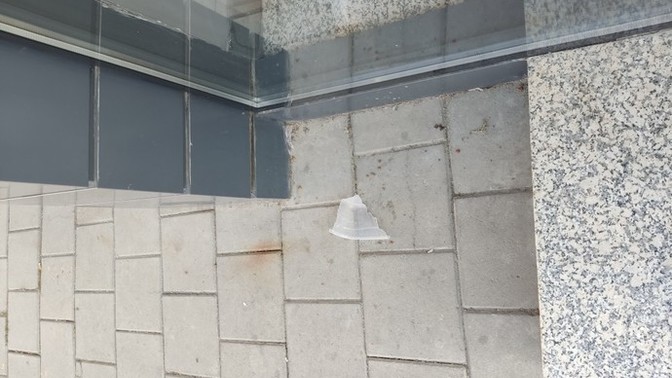 Sokak hayvanlarına mama koyuyorum ama bir problem var?