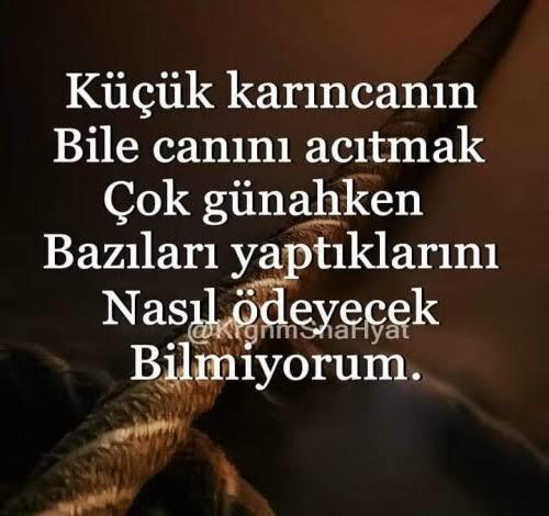 Canınızı yakanın canını yakar mısınız?