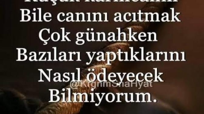 Canınızı yakanın canını yakar mısınız?