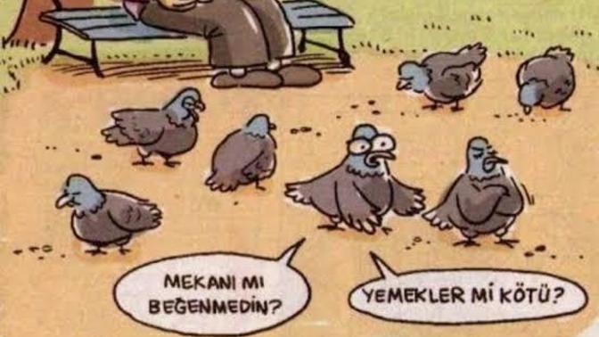Trip atar mısınız?