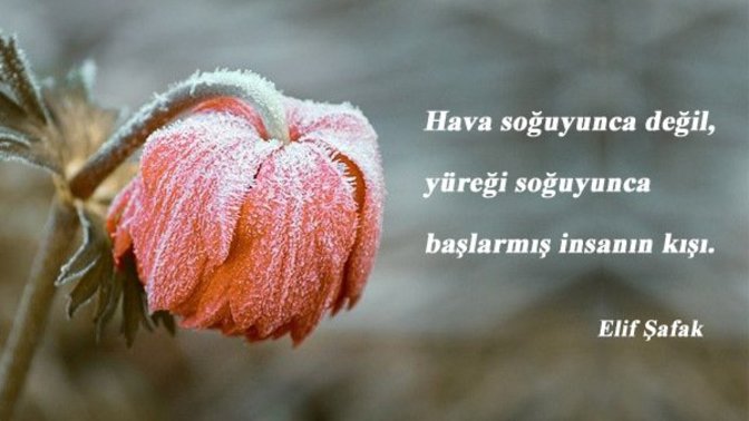 Son iki yılda en çok nelerden soğudunuz?