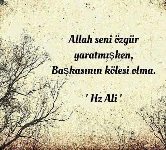 Sizce özgürlük nedir? Sizce siz özgür müsünüz?
