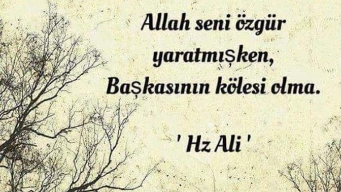 Sizce özgürlük nedir? Sizce siz özgür müsünüz?