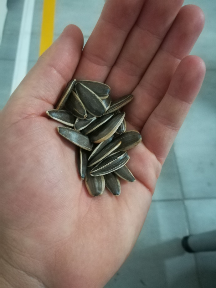 Tuzlu mu, tuzsuz mu çekirdek seversiniz?
