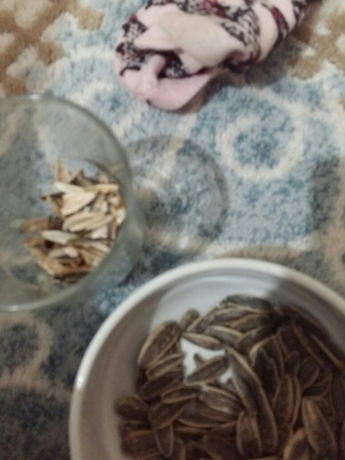 Tuzlu mu, tuzsuz mu çekirdek seversiniz?