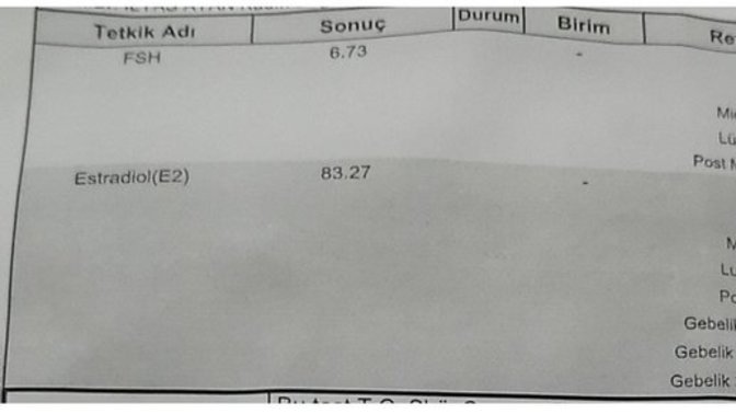 Estradiol E2 yüksekliği 83,7 çok yüksekmi sizce normal değeri kaç olmalıdır?