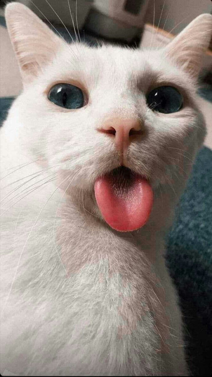 En iyi telefon ekran fotoğrafı seçiyoruz, ekranında hangi fotoğraf var 🥳?
