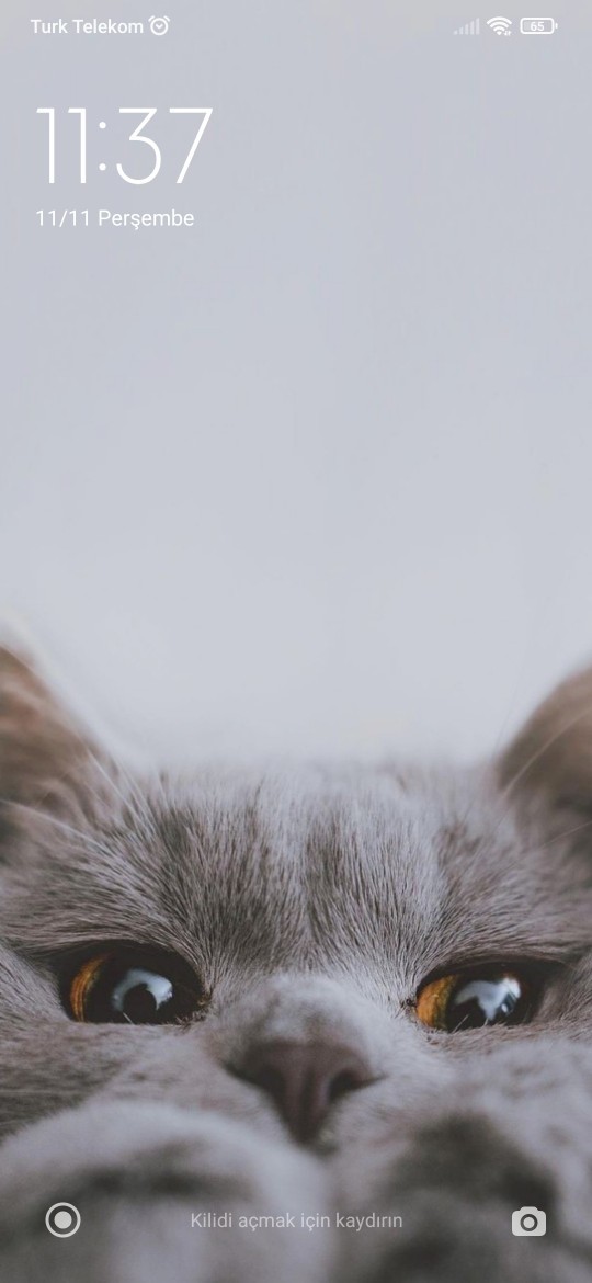 En iyi telefon ekran fotoğrafı seçiyoruz, ekranında hangi fotoğraf var 🥳?