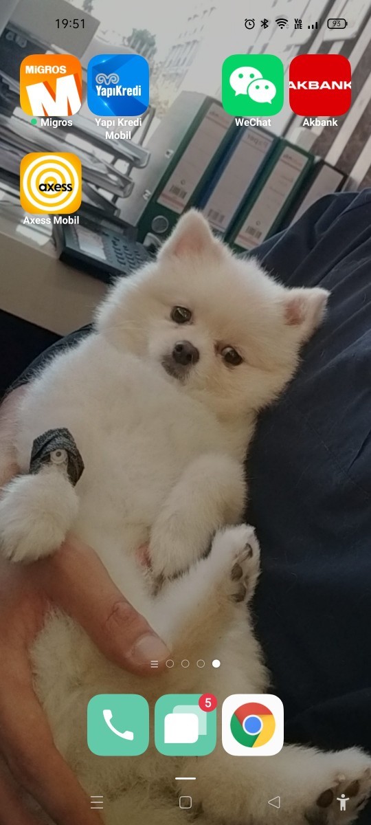 En iyi telefon ekran fotoğrafı seçiyoruz, ekranında hangi fotoğraf var 🥳?