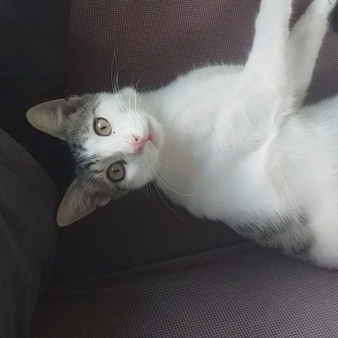 En iyi telefon ekran fotoğrafı seçiyoruz, ekranında hangi fotoğraf var 🥳?