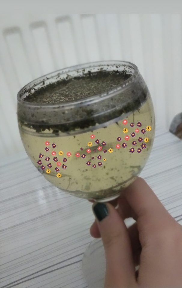 Kokteyl sever misiniz?