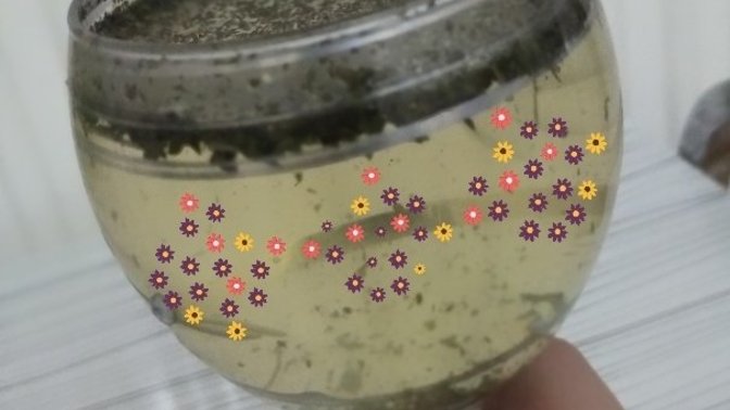 Kokteyl sever misiniz?