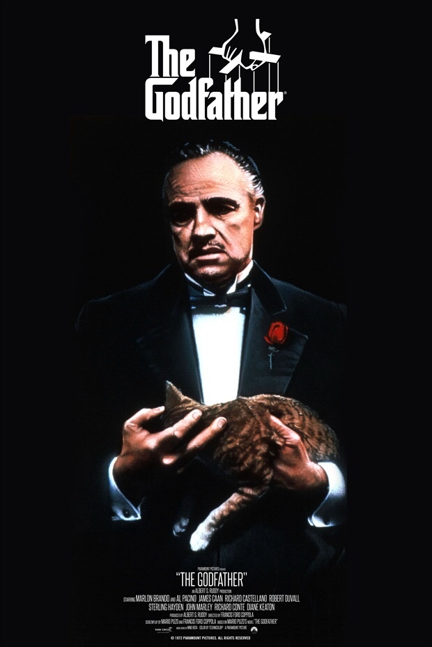 "İzlemeyen çok şey kaybeder" dediğiniz bir film var mı?