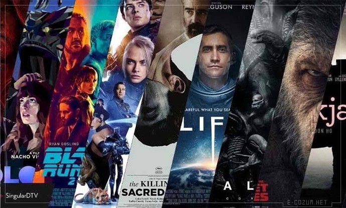 Hangi tür filmler daha çok ilginizi çekiyor?