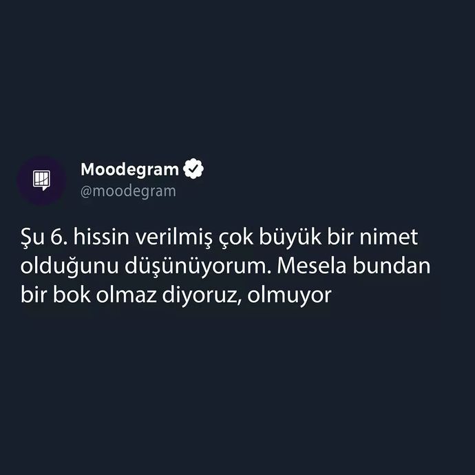 6. hissiniz kuvvetli midir?