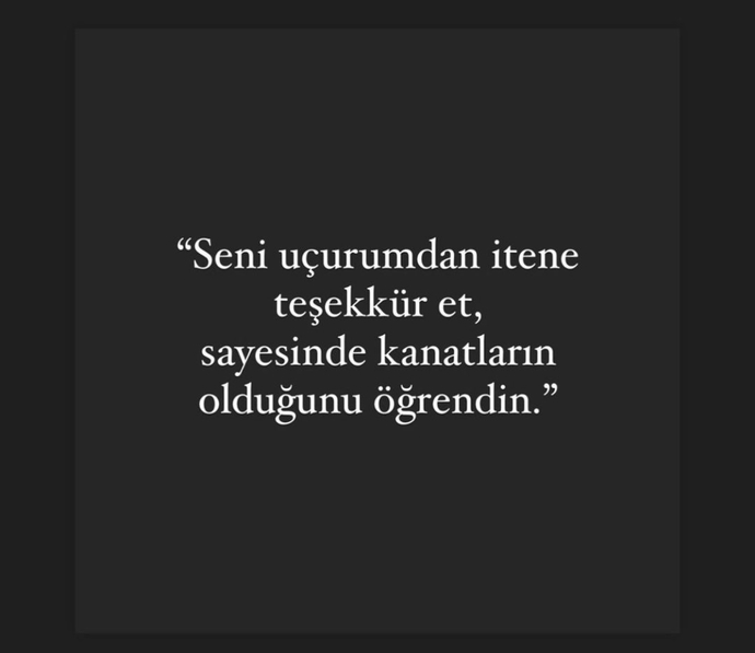 Seni uçurumdan iten şahısa teşekkür edebilir misin?