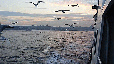 Bugün Orhan Veli'nin ölüm yıl dönümü. Orhan Veli'yi bilir misiniz?