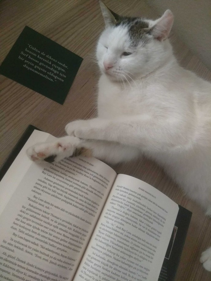 Kitap okurken size en iyi ne eşlik eder?