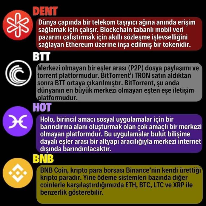 Kripto piyasalarında ralli arifesindeyiz. Sen hangi kriptoyu alacağını biliyor musun?