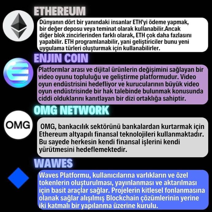 Kripto piyasalarında ralli arifesindeyiz. Sen hangi kriptoyu alacağını biliyor musun?