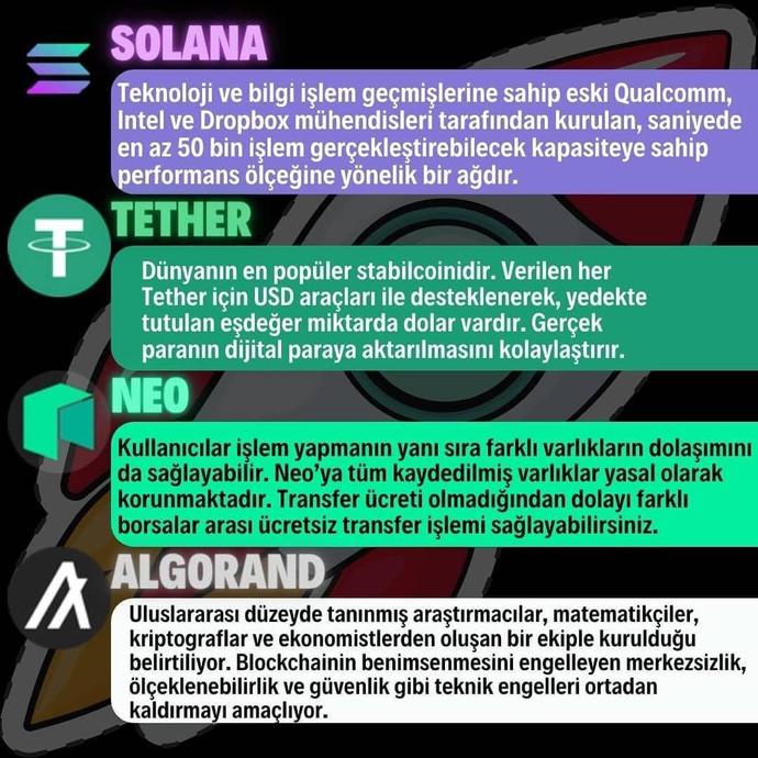 Kripto piyasalarında ralli arifesindeyiz. Sen hangi kriptoyu alacağını biliyor musun?