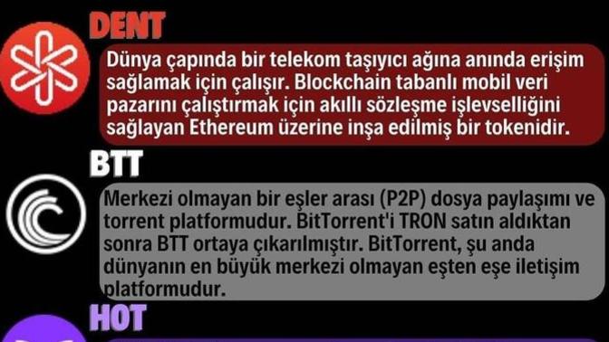 Kripto piyasalarında ralli arifesindeyiz. Sen hangi kriptoyu alacağını biliyor musun?