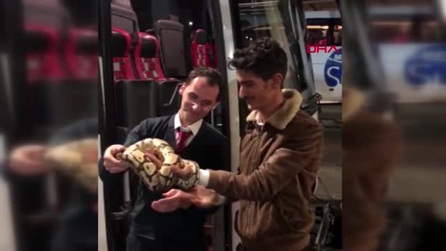 Yolcu otobüsünde dev piton! Otobüs yolculuğu sırasında yılan görseydin ne yapardın?