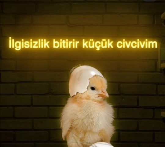 Sevgilinize karşı ilginizi kaybetmenize neden olan şeyler nelerdir?