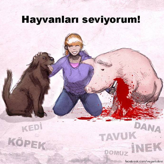 Et tüketen hayvanseverler ikiyüzlü değiller mi sizce?