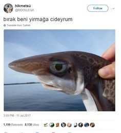 😂